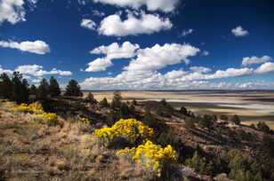 Goose dry Lake-3762